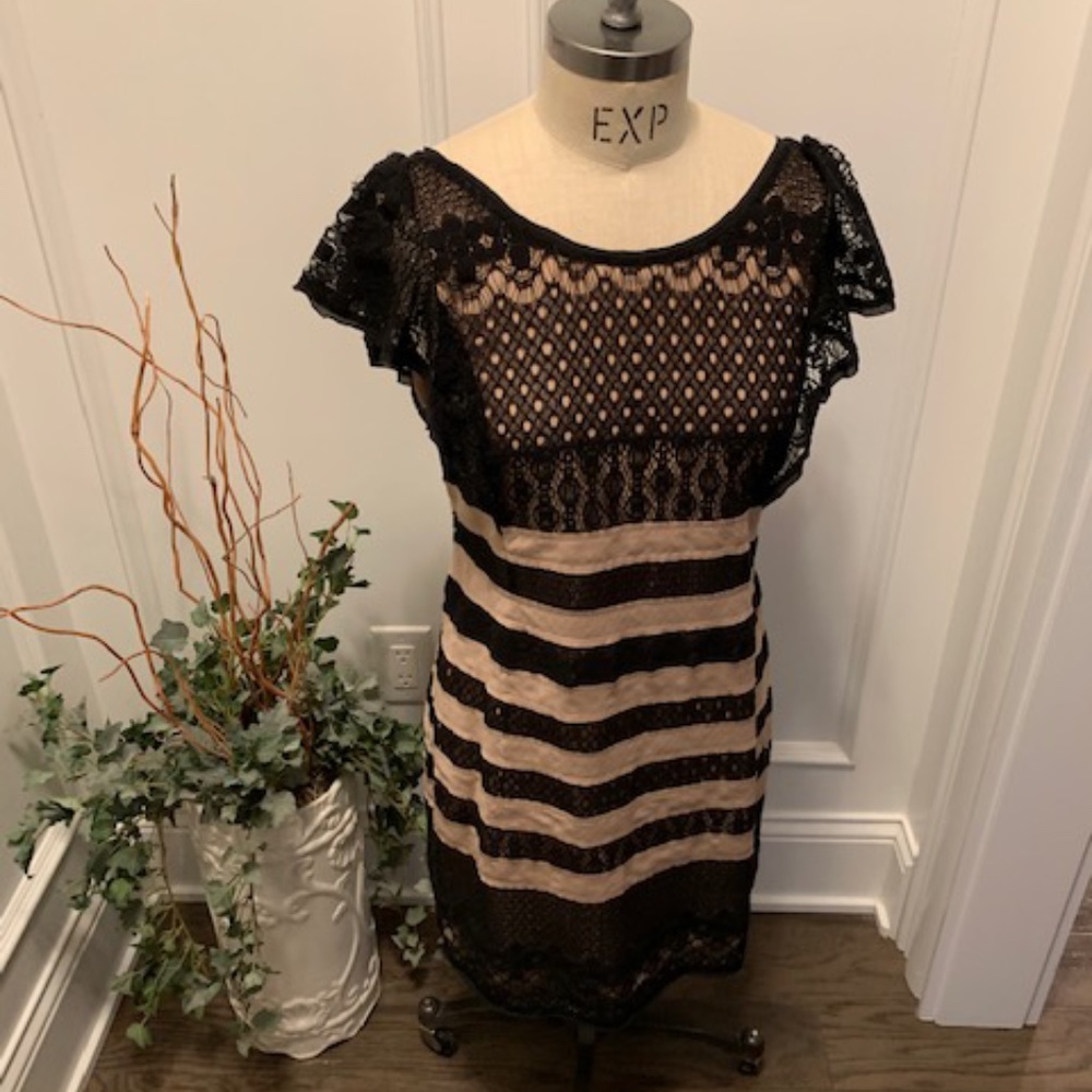BCBGMaxazria Dress V Back w/exposed Zipper